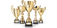 Трофеи и награды