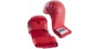 Karate Gloves