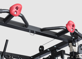 newton fitness