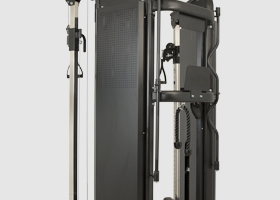 newton fitness