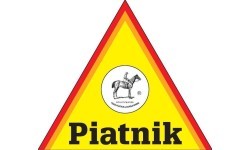Piatnik