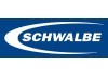 Schwalbe